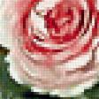 Предпросмотр схемы вышивки «Серия "Букет". Розы» (№2186495)