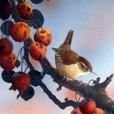 Схема вышивки «Птичка на ягодах»