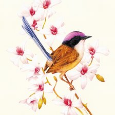 Схема вышивки «Птичка на цветах»