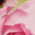 Предпросмотр схемы вышивки «Нежные розы» (№2188886)