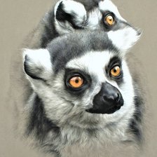 Схема вышивки «Wild life portrets- Lemures»