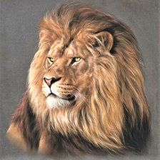 Схема вышивки «Wild life portrets- Lion»