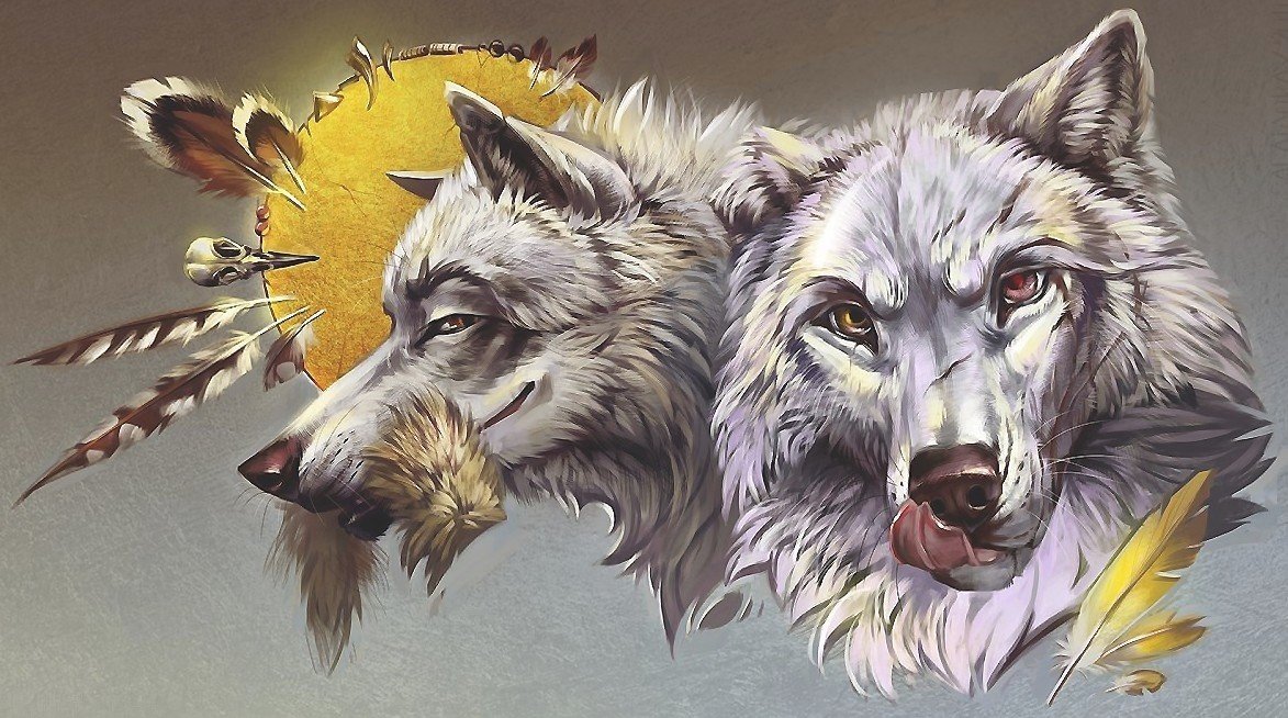 Два волка - перья, бубен, хищник, волки - оригинал
