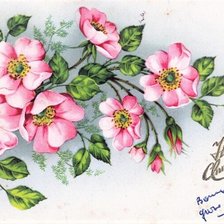 Схема вышивки «jablonovy kvet»