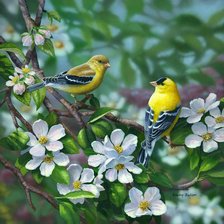 Оригинал схемы вышивки «Желтые птички на ветках яблони» (№2207148)
