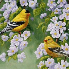 Схема вышивки «Желтые птички на ветвях яблони»
