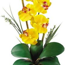 Схема вышивки «желтая орхидея»