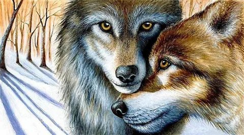 пара волков - волки, любовь - оригинал