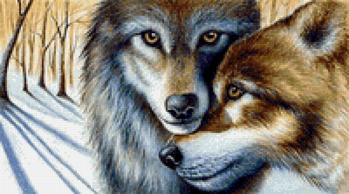 пара волков - волки, любовь - предпросмотр