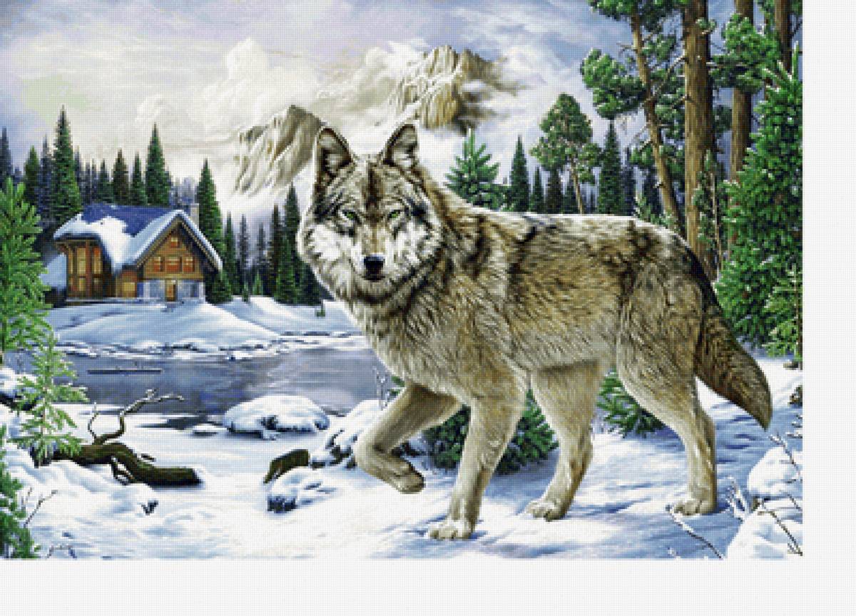 Волк - горы, зимний пейзаж, река, снег, лес, домик - предпросмотр