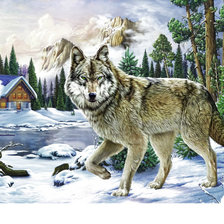 Оригинал схемы вышивки «Волк» (№2207917)