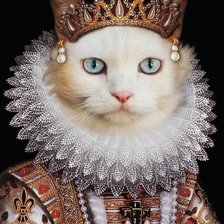 Оригинал схемы вышивки «Королева Кошка» (№2216760)
