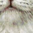 Предпросмотр схемы вышивки «Котенок в белых цветах» (№2233152)