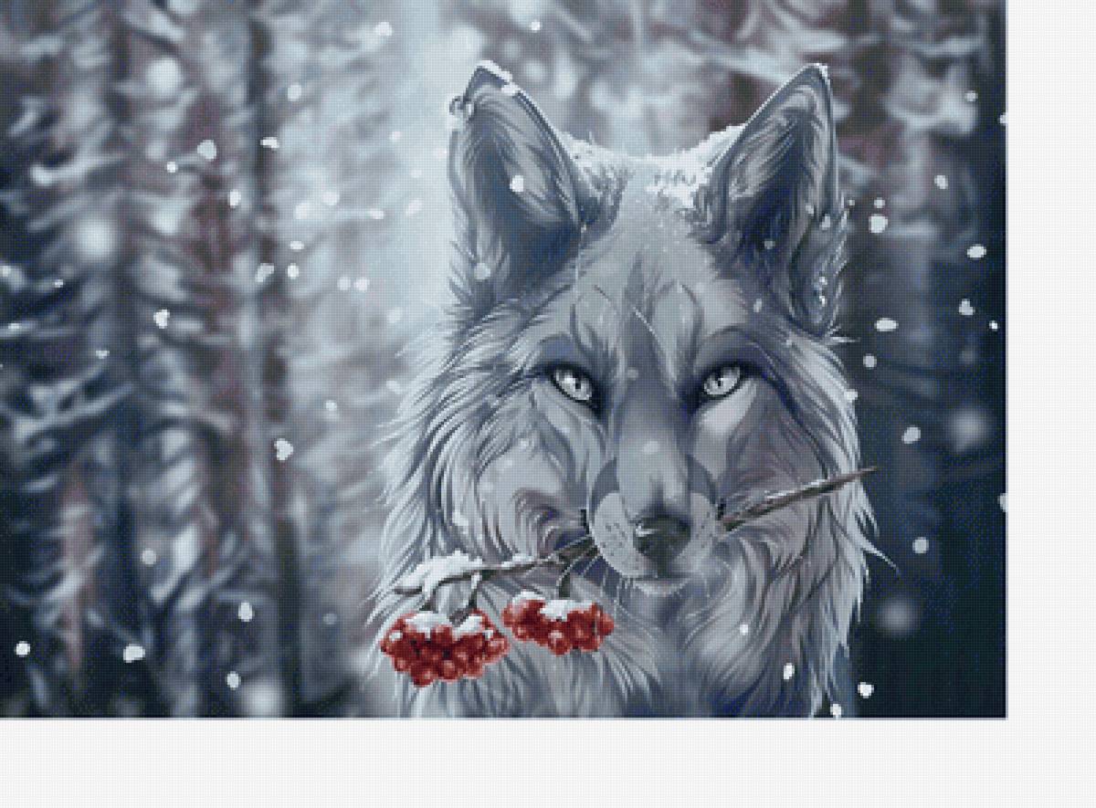№2239022 - волки, хищники, зима, животные - предпросмотр