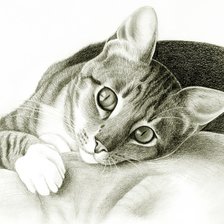 Оригинал схемы вышивки «кошка» (№2241383)
