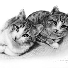 Оригинал схемы вышивки «кошки» (№2241385)