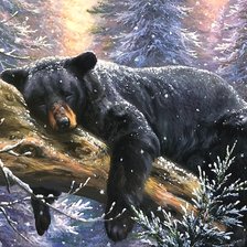 Оригинал схемы вышивки «медведь» (№2248605)