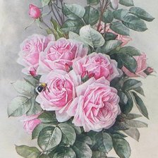 Схема вышивки «rosas ramo»