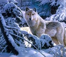 Схема вышивки «белый волк в лесу»