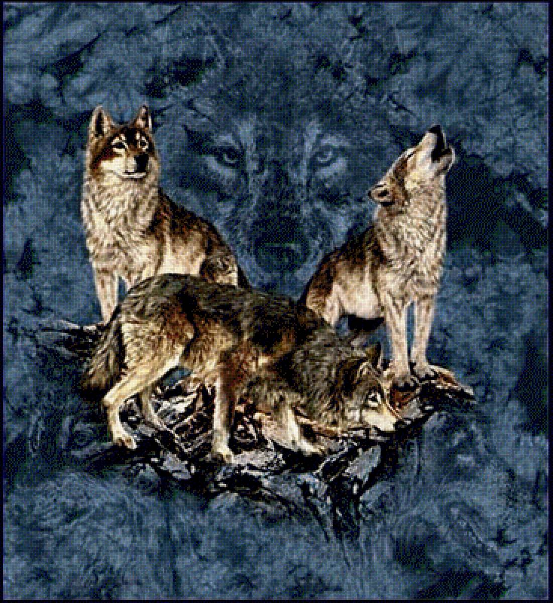 волки - волки, картина, 7 волков, стив гарднер - предпросмотр