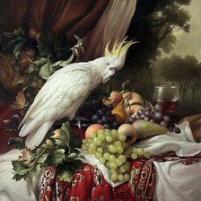 Схема вышивки «Натюрморт с белым попугаем»