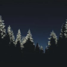 Ночь в зимнем лесу