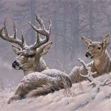 Схема вышивки «Winter deer»