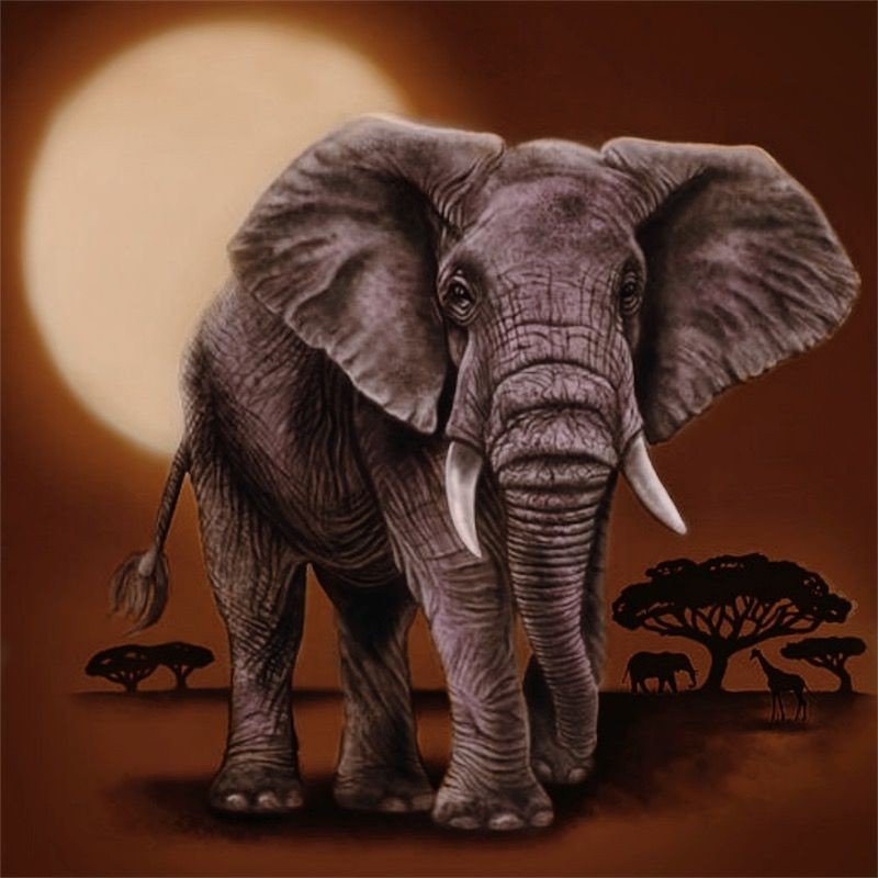 Слон - животное, африка, слон - оригинал