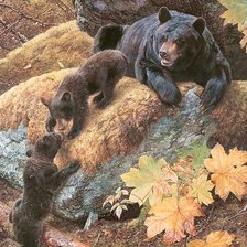 Familhea de ursos.