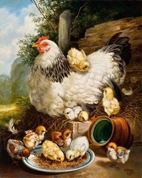 Семейство - птицы, двор, цыплята - оригинал