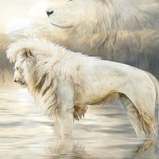 Оригинал схемы вышивки «Белые львы» (№2273504)