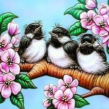 Схема вышивки «Birds and Flowers»