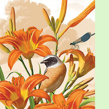 Схема вышивки «Серия "Флора и фауна". Птичка и лилии»
