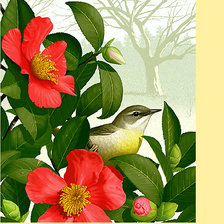 Схема вышивки «Серия "Флора и фауна". Птичка в цветах»