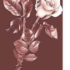 Схема вышивки «Серия "Розы". Панелька»