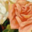 Предпросмотр схемы вышивки «Серия "Букет". Розы» (№2284516)