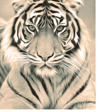 Схема вышивки «Серия "Хищники". Тигр»