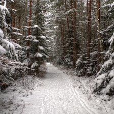 Схема вышивки «зима в лесу»