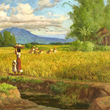 Схема вышивки «1938 Rice Field near Mount Pinatubo»