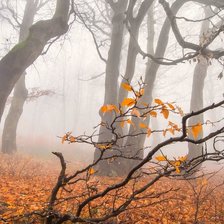 Схема вышивки «Осенний туман.»