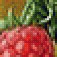 Предпросмотр схемы вышивки «Фрукты, ягоды» (№2321516)