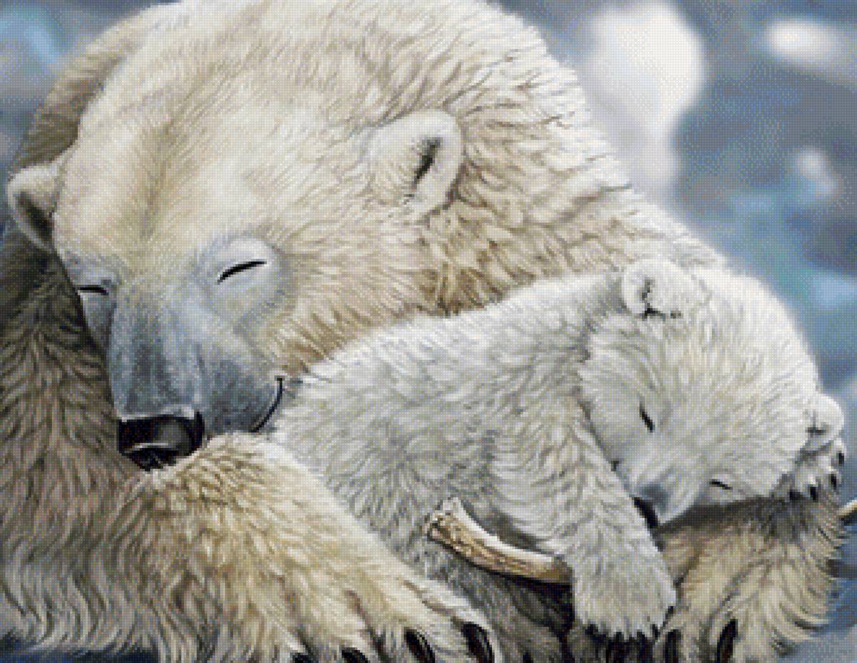 Медвежьи сны - природа, сны, белые медведи, медведь - предпросмотр