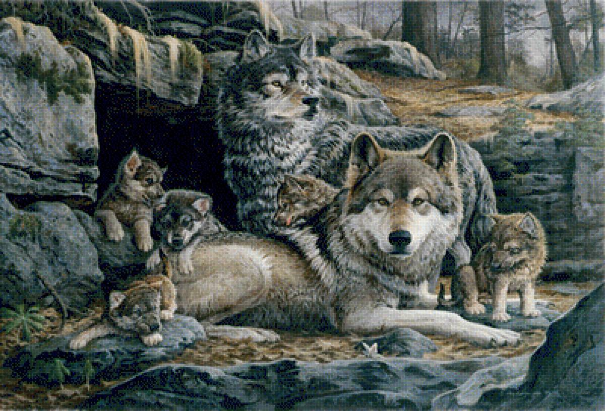 Семья - волки, волчата, семья, пара - предпросмотр