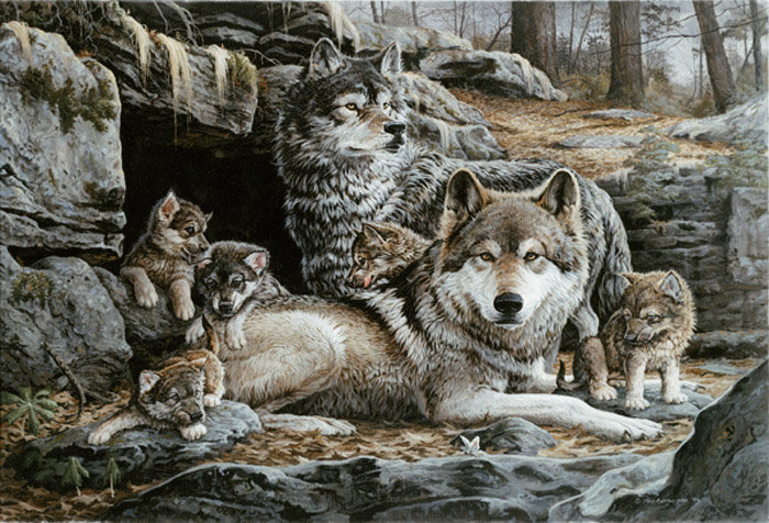 Волки - лес, волки, пара, волчата, семья - оригинал