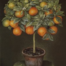 Оригинал схемы вышивки «Дерево апельсин» (№2332550)