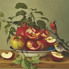 Схема вышивки «Pássaro e frutas.»
