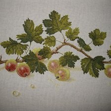 Схема вышивки «ягоды»