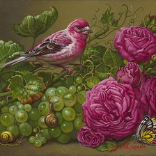 Схема вышивки «Pássaro e flores e frutas.»