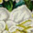 Предпросмотр схемы вышивки «kvety» (№2369774)