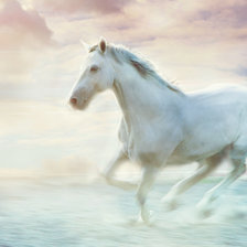 Схема вышивки «белая лошадь бежит»